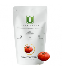 Tomato OP Tanushri 100 grams